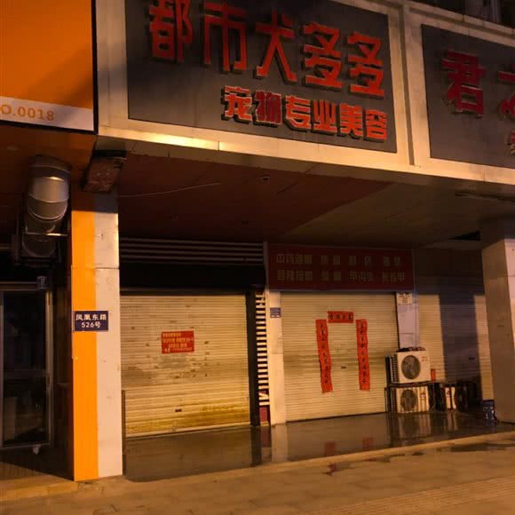 都市犬多多宠物专业美容:滁州市琅琊区火车站附近