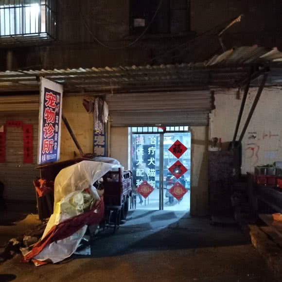 宠物诊所:滁州市南谯区湖心路附近