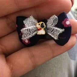 宠秀宠物:北京城区大兴区黄村附近