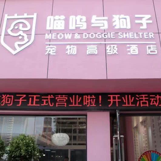 喵呜与狗子:阜阳市颍州区颍州万达广场附近