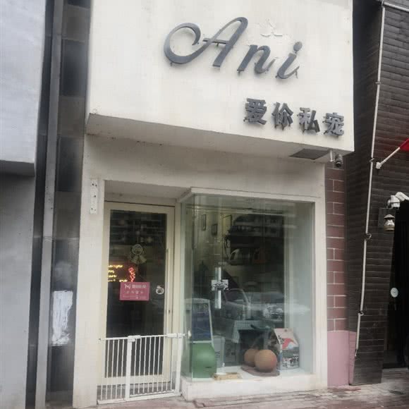 Ani爱你私宠:阜阳市颍州区颍州万达广场附近