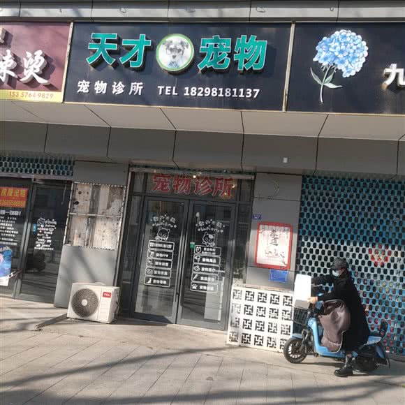 天才宠物:阜阳市颍州区清河东路附近