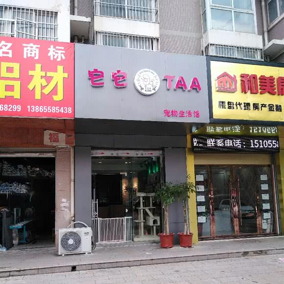 它它狗狗生活馆:阜阳市颍州区颍西附近