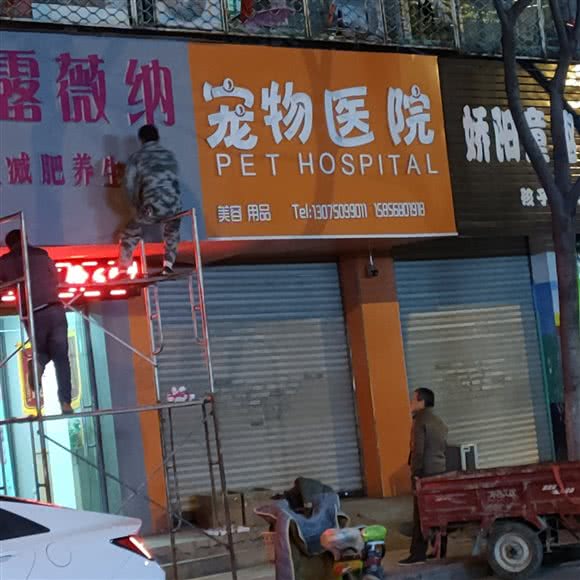 国宝宠物医院:阜阳市颍州区颍西附近