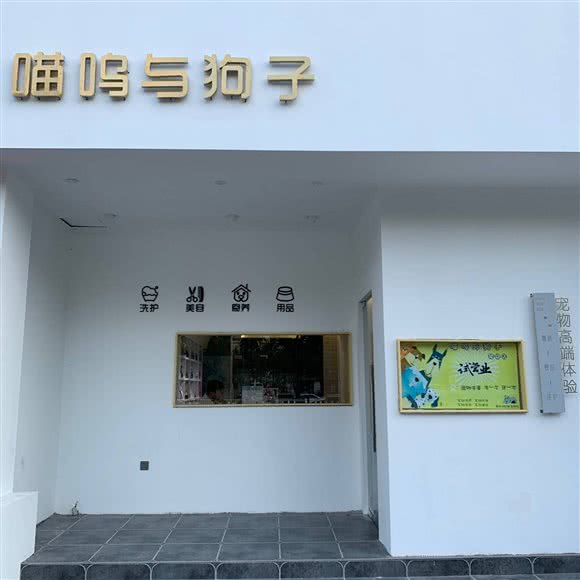 喵呜与狗子:阜阳市颍州区师范学院新区附近