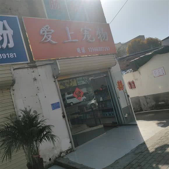 爱上宠物:阜阳市颍州区双清路附近
