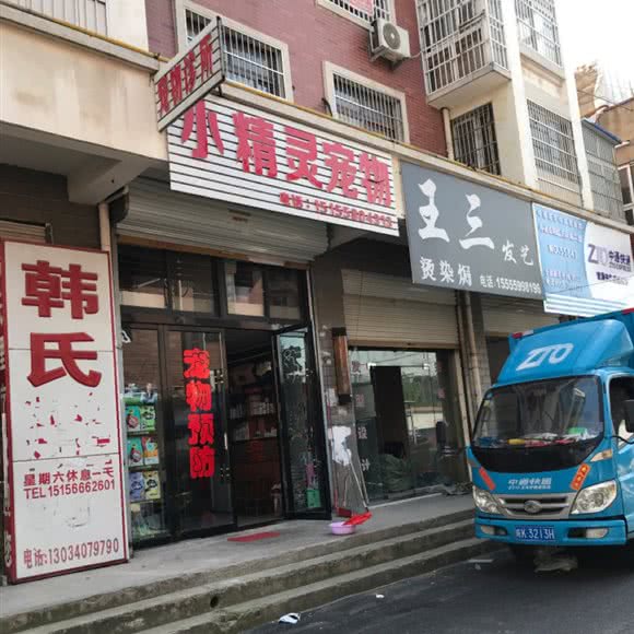 小精灵宠物:阜阳市颍泉区汽车北站附近