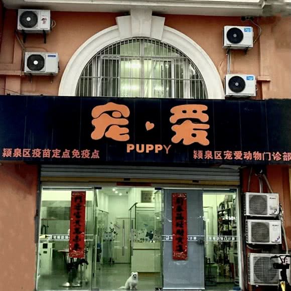 宠爱狗狗门诊:阜阳市颍泉区皖西北商贸城附近