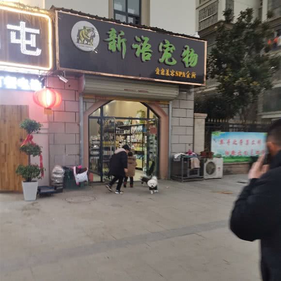 新语宠物:宿州市埇桥区万达广场附近