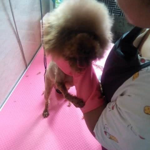 贵族宠屋生活馆:宿州市埇桥区火车站附近
