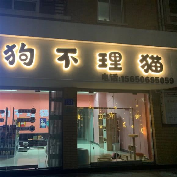狗不理猫:宿州市埇桥区大花园附近
