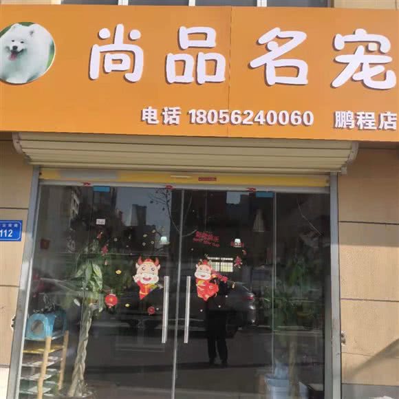 尚品名宠:宿州市埇桥区光彩城附近