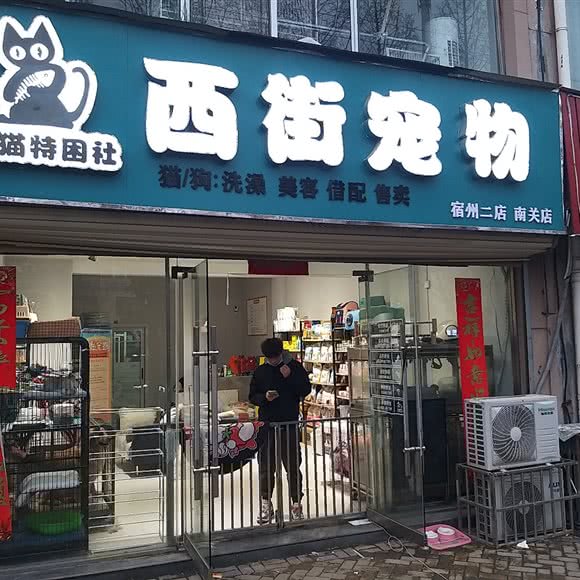 养猫特困社西街宠物(南关店):宿州市埇桥区开发区附近