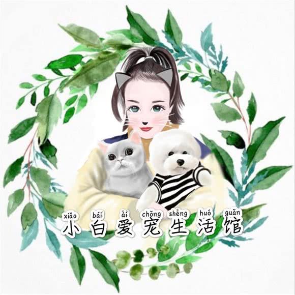 小白爱宠(中山街一店):宿州市埇桥区百货大楼附近
