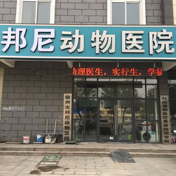 邦尼宠物医院:宿州市埇桥区纺织路附近