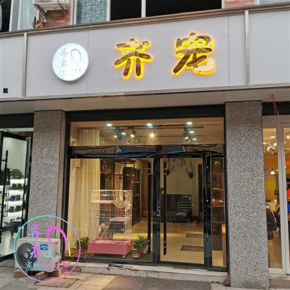 齐宠宠物:宿州市埇桥区家乐福超市附近
