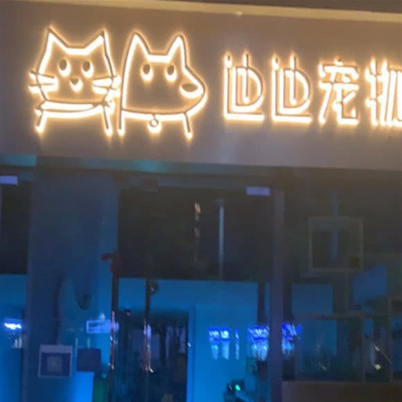 迪迪宠物猫狗专售:北京城区大兴区黄村附近