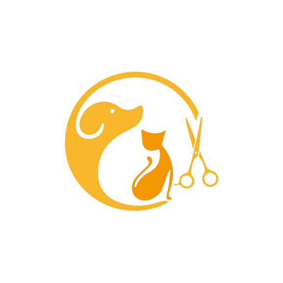 宠启宠物:六安市金安区三里桥附近