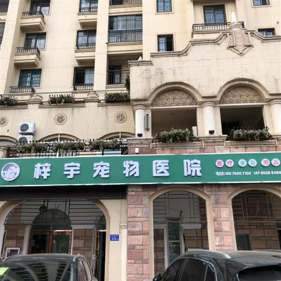 梓宇宠物医院(锦绣华府店):六安市裕安区火车站附近