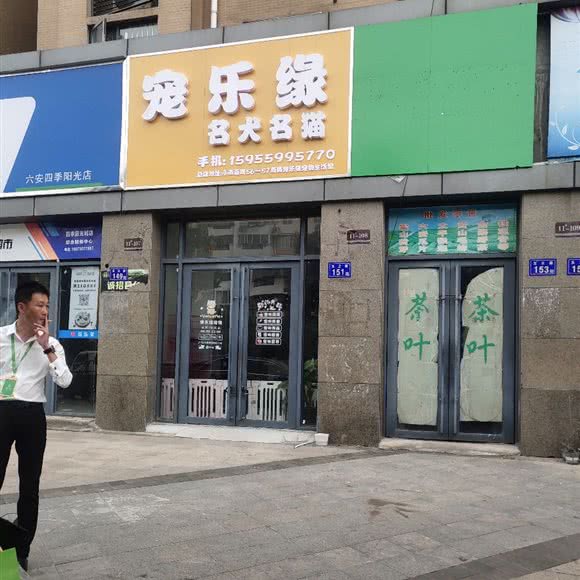 宠乐缘:六安市裕安区周谷堆市场附近