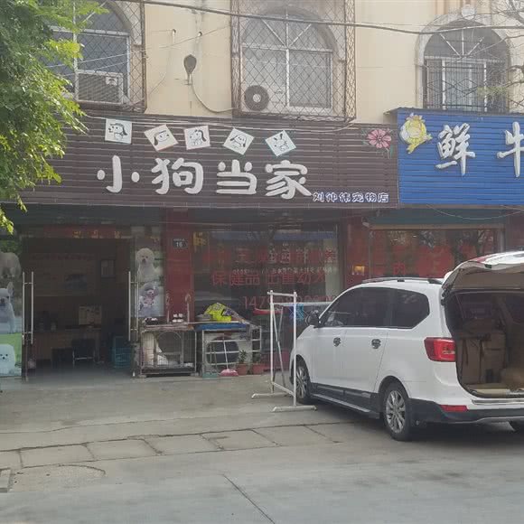 小狗当家宠物店:亳州市谯城区汤王大道附近