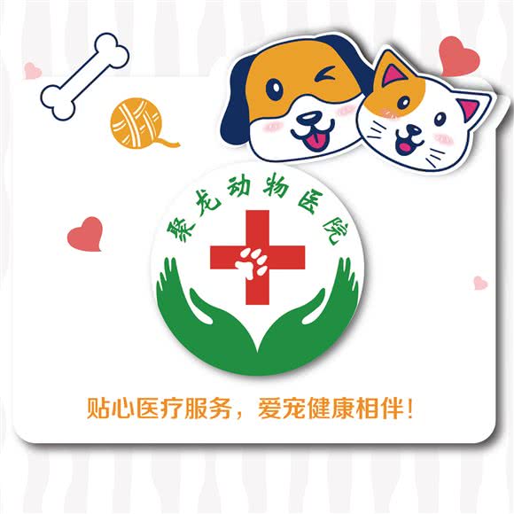 亳州聚龙动物医院·骨科特色·急重症:亳州市谯城区药都路附近