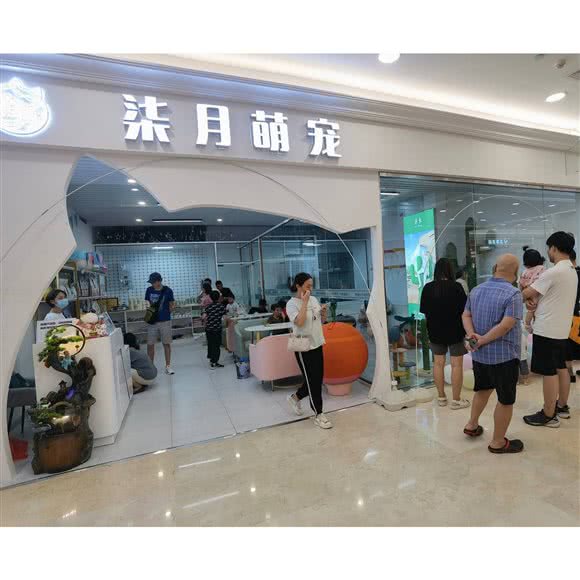 柒月萌宠:宣城市宣州区国购广场附近