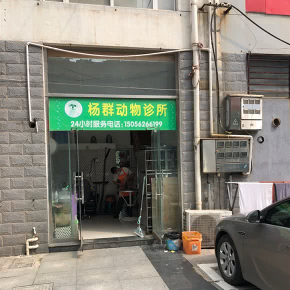 杨群动物诊所:宣城市广德市广德市附近