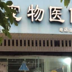 海林宠物医院:福州市鼓楼区五一广场/古田路附近