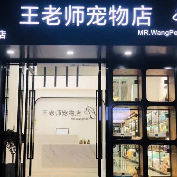 王老师宠物店(井大店):福州市鼓楼区王府井附近