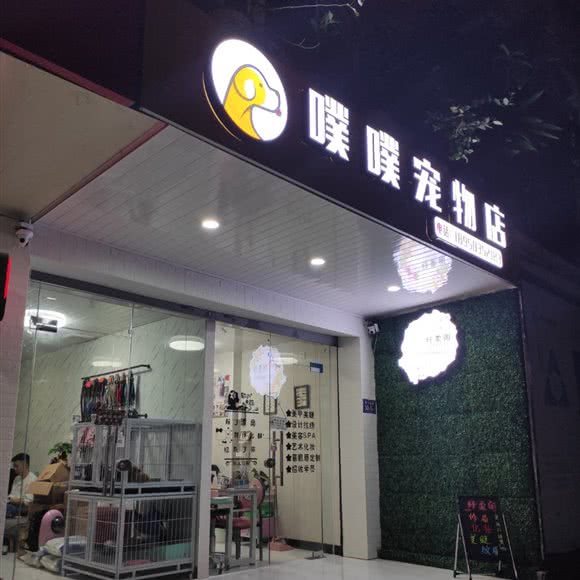 噗噗宠物店:福州市鼓楼区省体/湖前附近