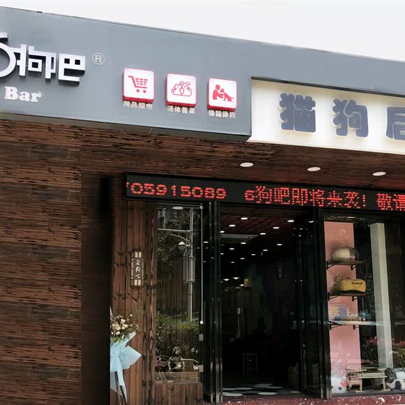 6狗吧猫狗后宫(紫阳店):福州市鼓楼区福新路附近