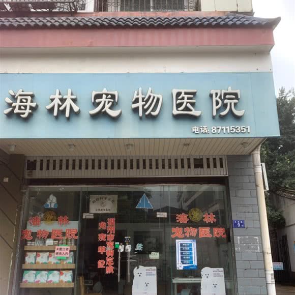 珍宝猫狗粮(福州海林宠物医院专卖店):福州市鼓楼区津泰路/协和医院附近