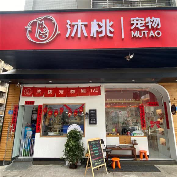 沐桃宠物:福州市鼓楼区华林路/茶园附近
