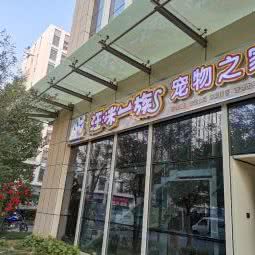 汪咪一族宠物店:北京城区大兴区黄村附近