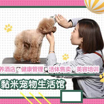 黏米宠物生活馆:北京城区大兴区黄村附近