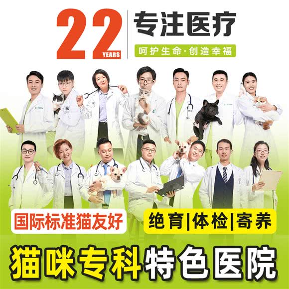 艾吉宠物医院(猫友好医院):福州市台江区大利嘉/汽车南站附近