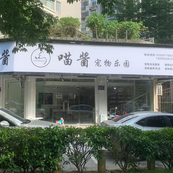 喵酱宠物乐园:福州市仓山区榕城广场/金山公交站附近