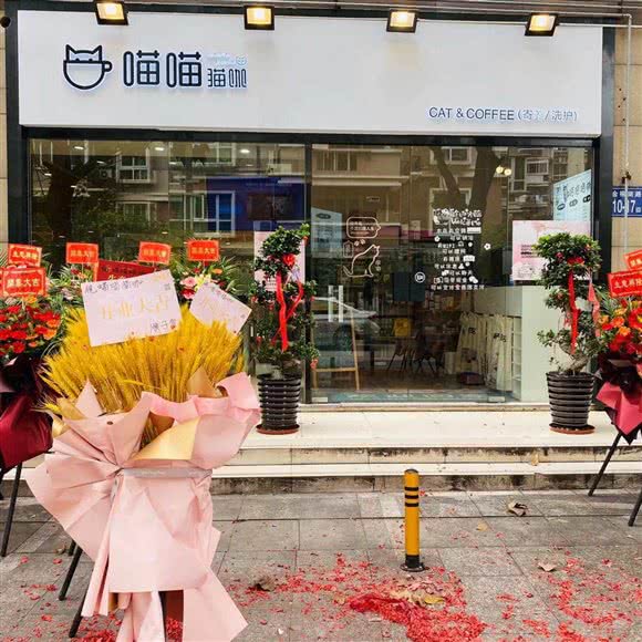 喵喵猫咖:福州市仓山区榕城广场/金山公交站附近