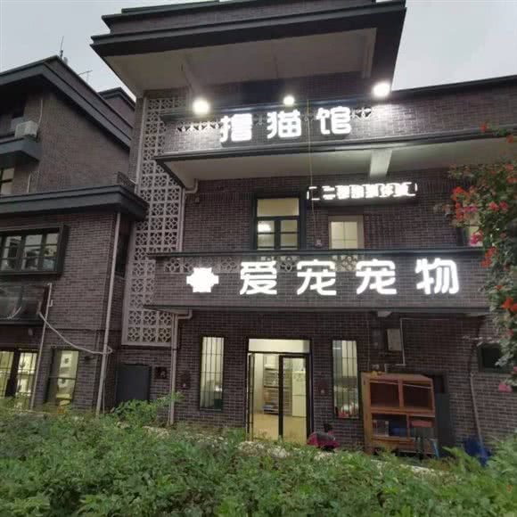 爱宠宠物?撸猫生活馆:福州市仓山区福建师大/学生街附近