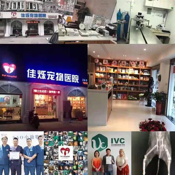 尽如人意烁宠物医院·猫科·骨科:福州市仓山区金山大道附近