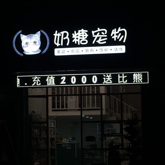奶糖宠物:福州市仓山区金山公园/建新路附近