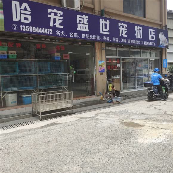 哈宠宠物店:福州市仓山区金山工业区福湾片附近