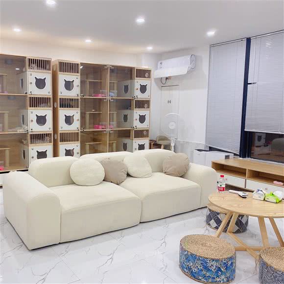 WARMY GT猫舍:福州市仓山区金山工业区福湾片附近