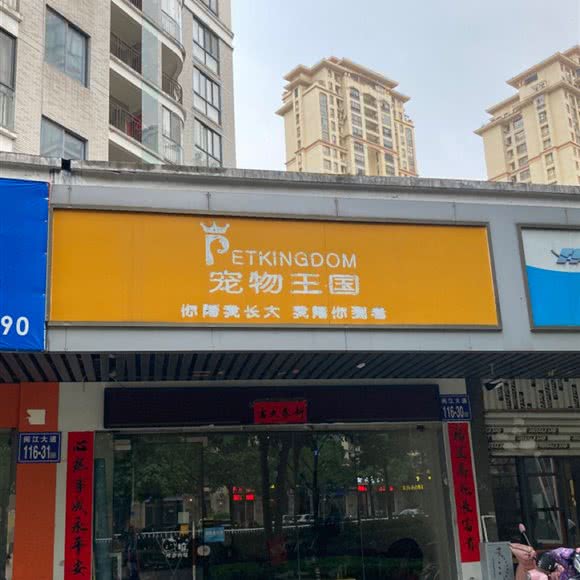 宠物王国:福州市仓山区红坊海峡创意产业园附近