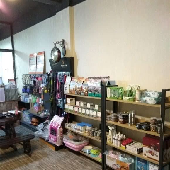 凯利三多宠物店:福州市仓山区上渡建材附近