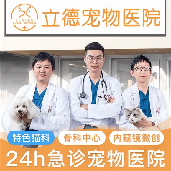 立德宠物医院·猫科·骨科:福州市仓山区仓山万达广场附近
