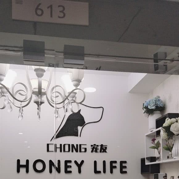 CHONG宠咖(棕榈泉国际花园店):福州市晋安区世欧王庄附近