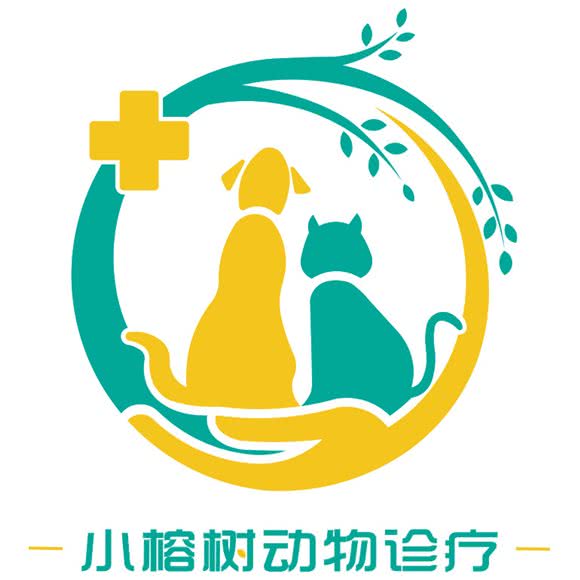 小榕树宠物医院绝育惠民中心骨科猫科:福州市晋安区世欧王庄附近