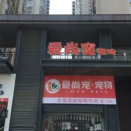 爱尚宠(福州晋安区南平东路店):福州市晋安区福飞路/新店附近
